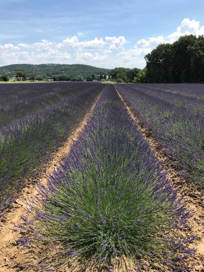 레 사블 도크르 호텔 Roussillon en Isere 외부 사진
